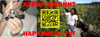ГАЛЛЮЦИНОГЕННЫЕ ГРИБЫ Беслан
